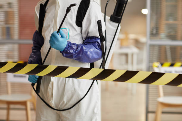 Professional Sewage Cleanup technician working in Taylor, PA